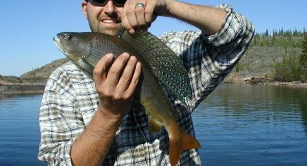 TA – Fantastic fish – Copy TA - Fantastic fish - Copy
