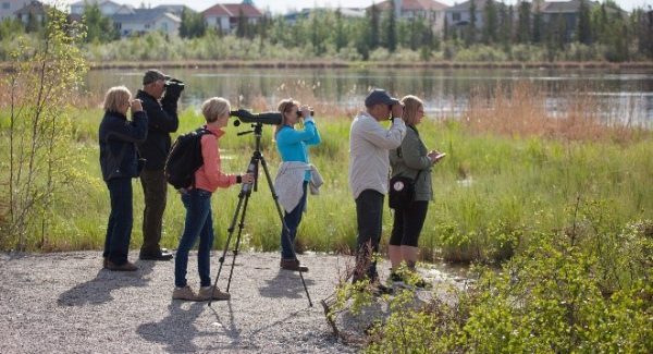 TA – birding tour – Copy TA - birding tour - Copy